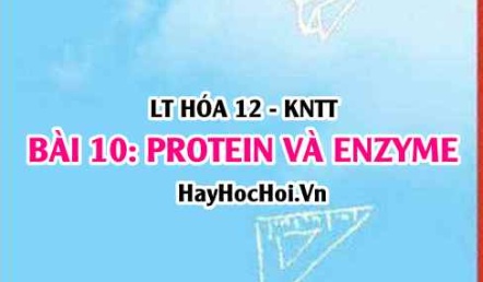 Tính chất hóa học, vật lí của Protein? Khái niệm, cấu tạo Protein, vai trò của Protein, Enzyme? Hóa 12 bài 10 KNTT